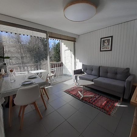 Studio Quartier Calme Centre Ville Vue Mont Blanc Chamonix Buitenkant foto