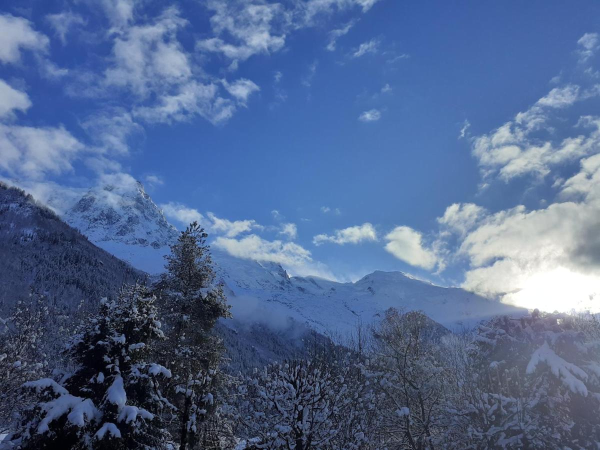 Studio Quartier Calme Centre Ville Vue Mont Blanc Chamonix Buitenkant foto