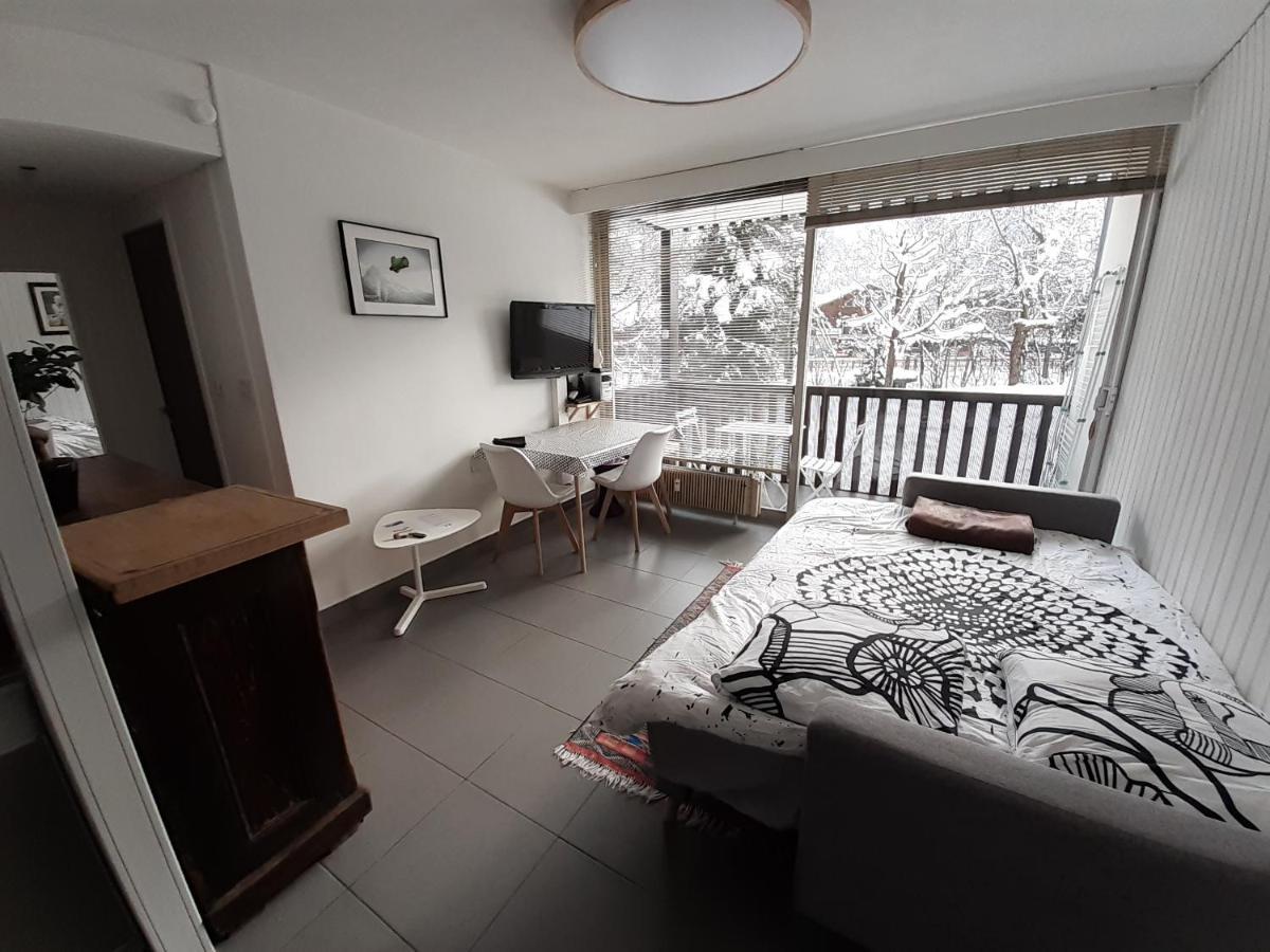 Studio Quartier Calme Centre Ville Vue Mont Blanc Chamonix Buitenkant foto