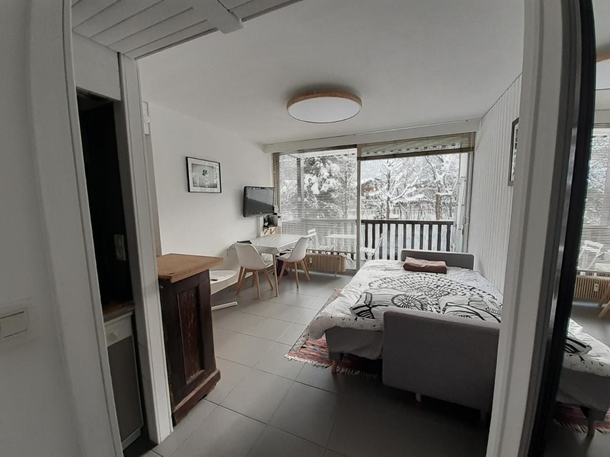 Studio Quartier Calme Centre Ville Vue Mont Blanc Chamonix Buitenkant foto