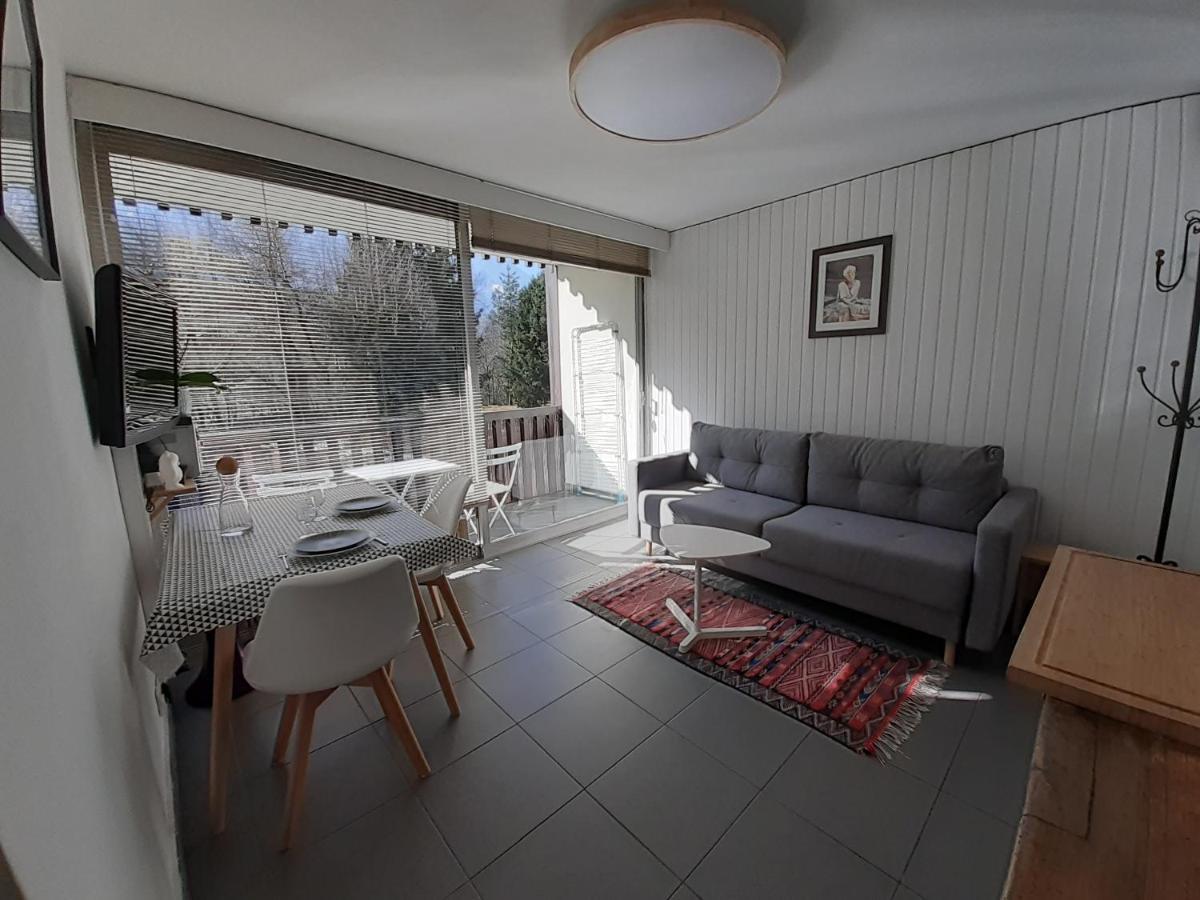 Studio Quartier Calme Centre Ville Vue Mont Blanc Chamonix Buitenkant foto